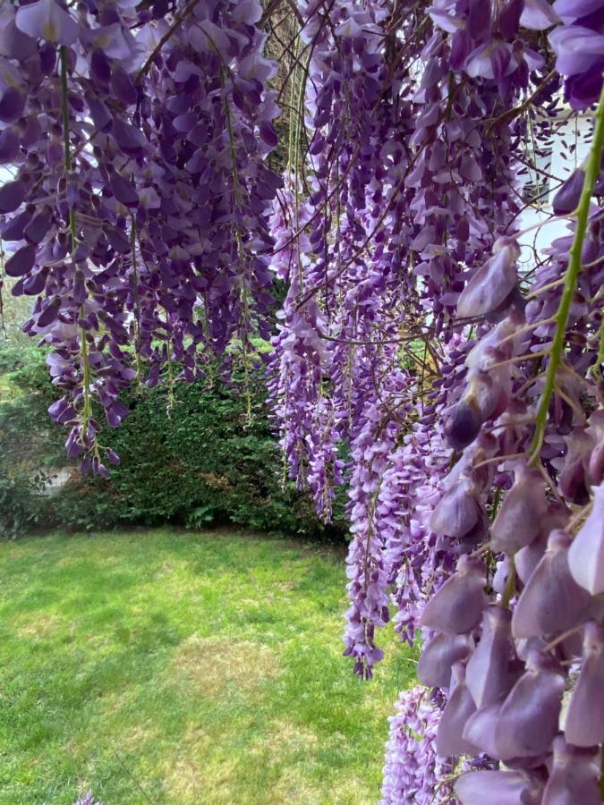 B&B Fior Di Toscana Serravalle Pistoiese Exteriér fotografie