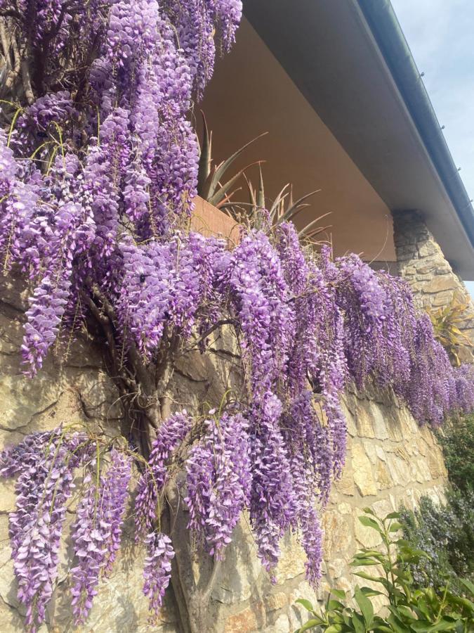 B&B Fior Di Toscana Serravalle Pistoiese Exteriér fotografie